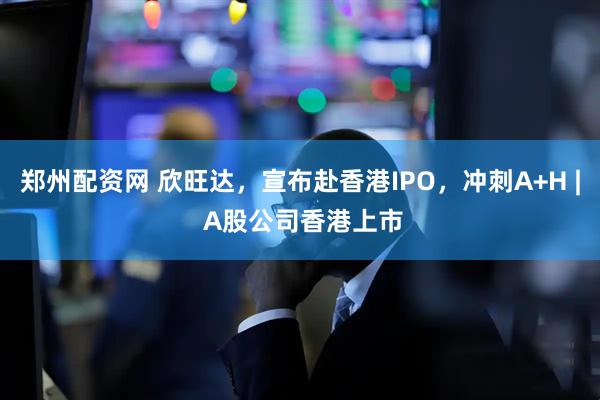 郑州配资网 欣旺达，宣布赴香港IPO，冲刺A+H | A股公司香港上市