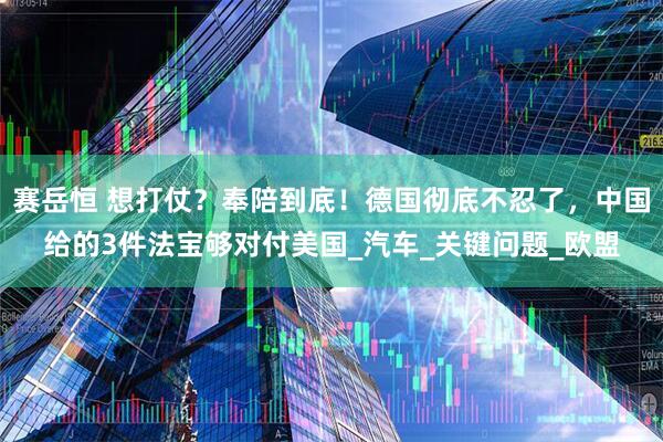 赛岳恒 想打仗？奉陪到底！德国彻底不忍了，中国给的3件法宝够对付美国_汽车_关键问题_欧盟
